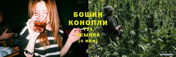 соль ск Белокуриха