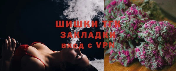 соль ск Белокуриха