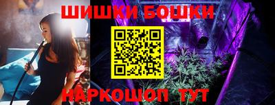 СК Лесосибирск