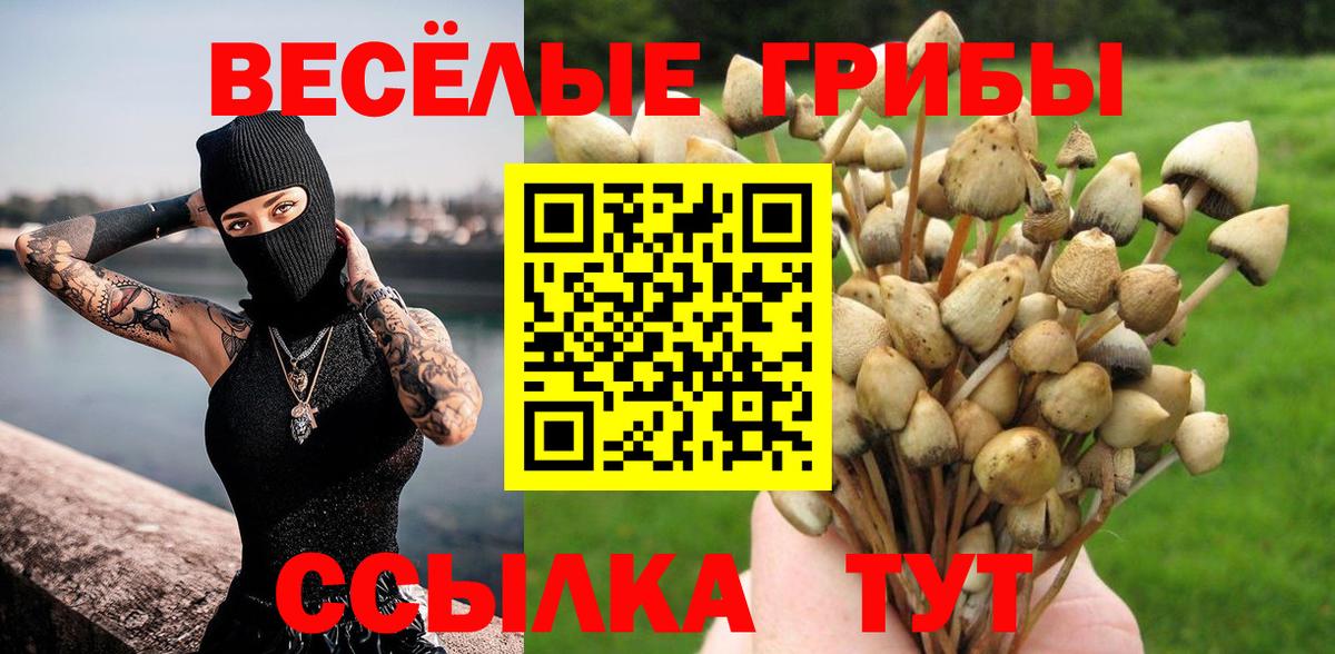 купить   Вход с VPN  Верхний Уфалей  Галлюциногенные грибы Psilocybine cubensis  Галлюциногенные грибы мицелий 