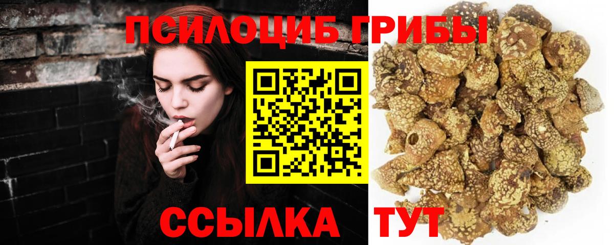 Псилоцибиновые грибы GOLDEN TEACHER Верхний Уфалей